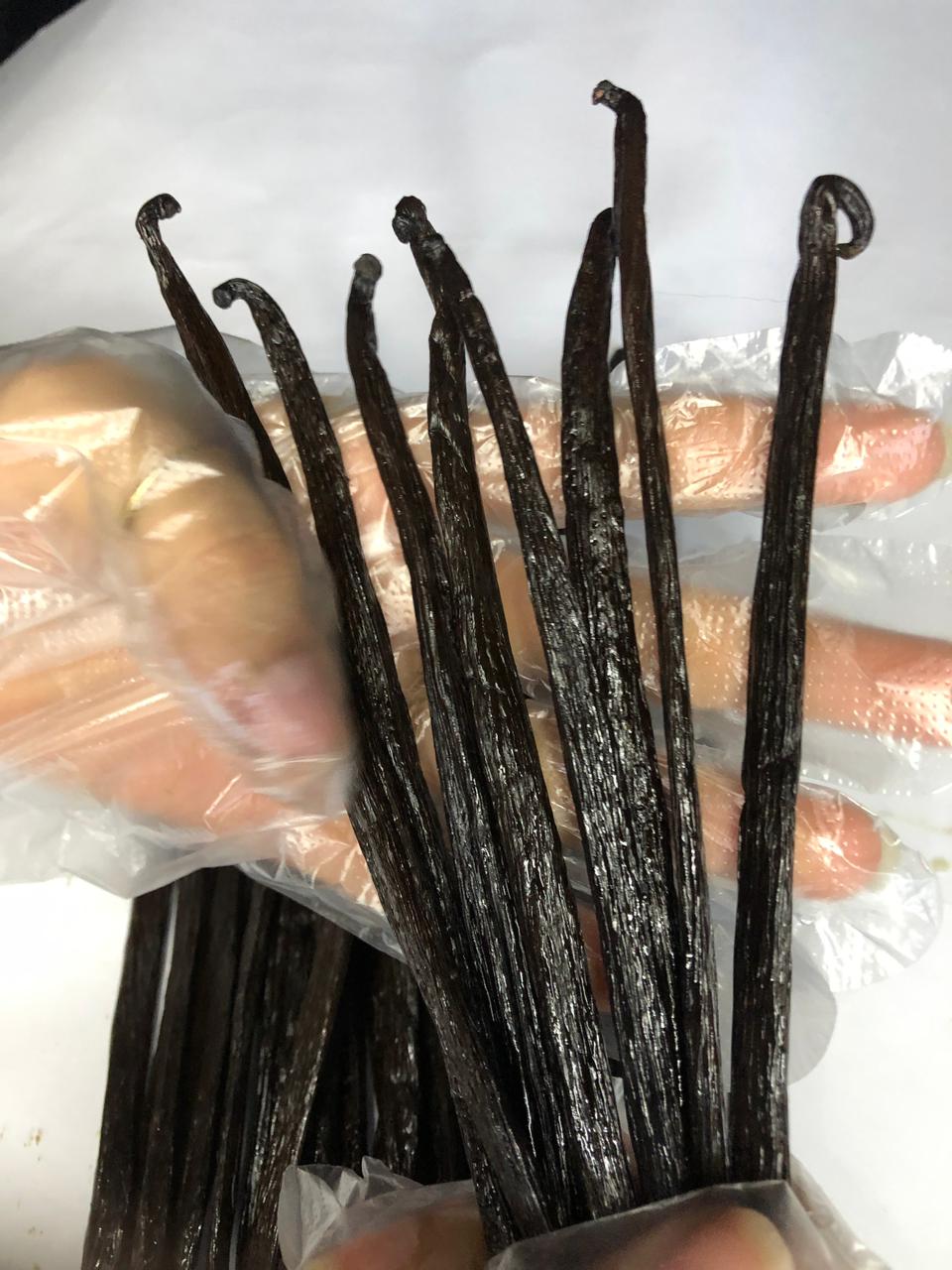 Vanilla beans sun-drying process