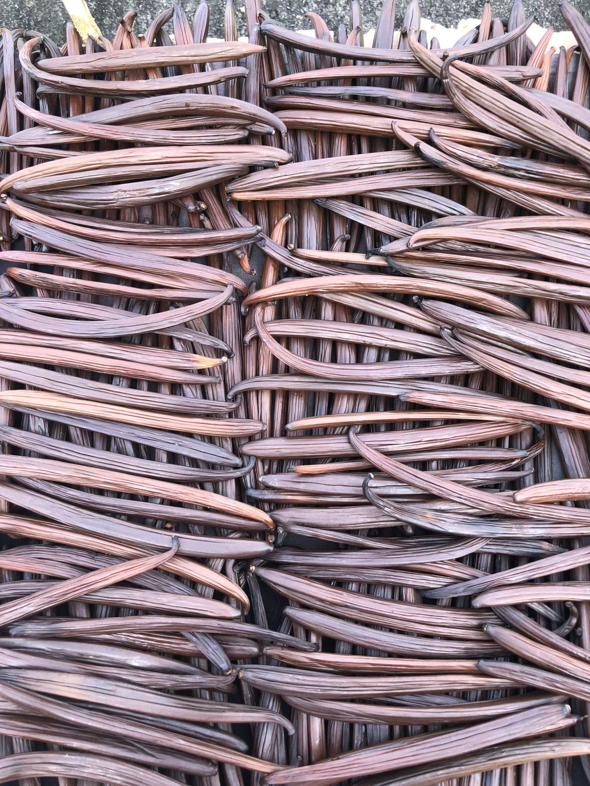 Finished vanilla beans in vacuum packaging ready for export