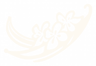 Daily Vanilla logo