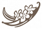 Daily Vanilla logo – Indonesian vanilla bean supplier and exporter