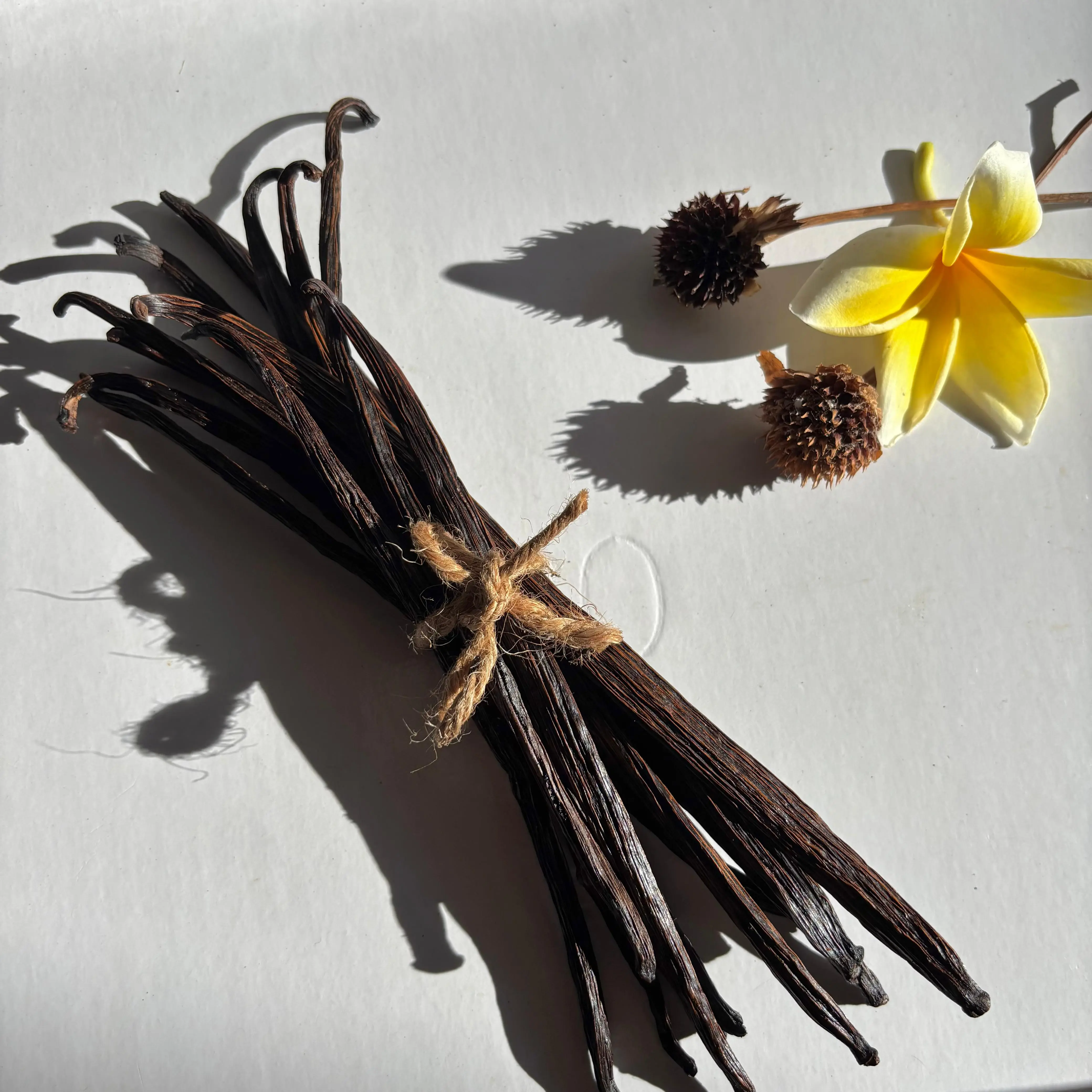 Extract Grade Planifolia vanilla beans from Indonesia