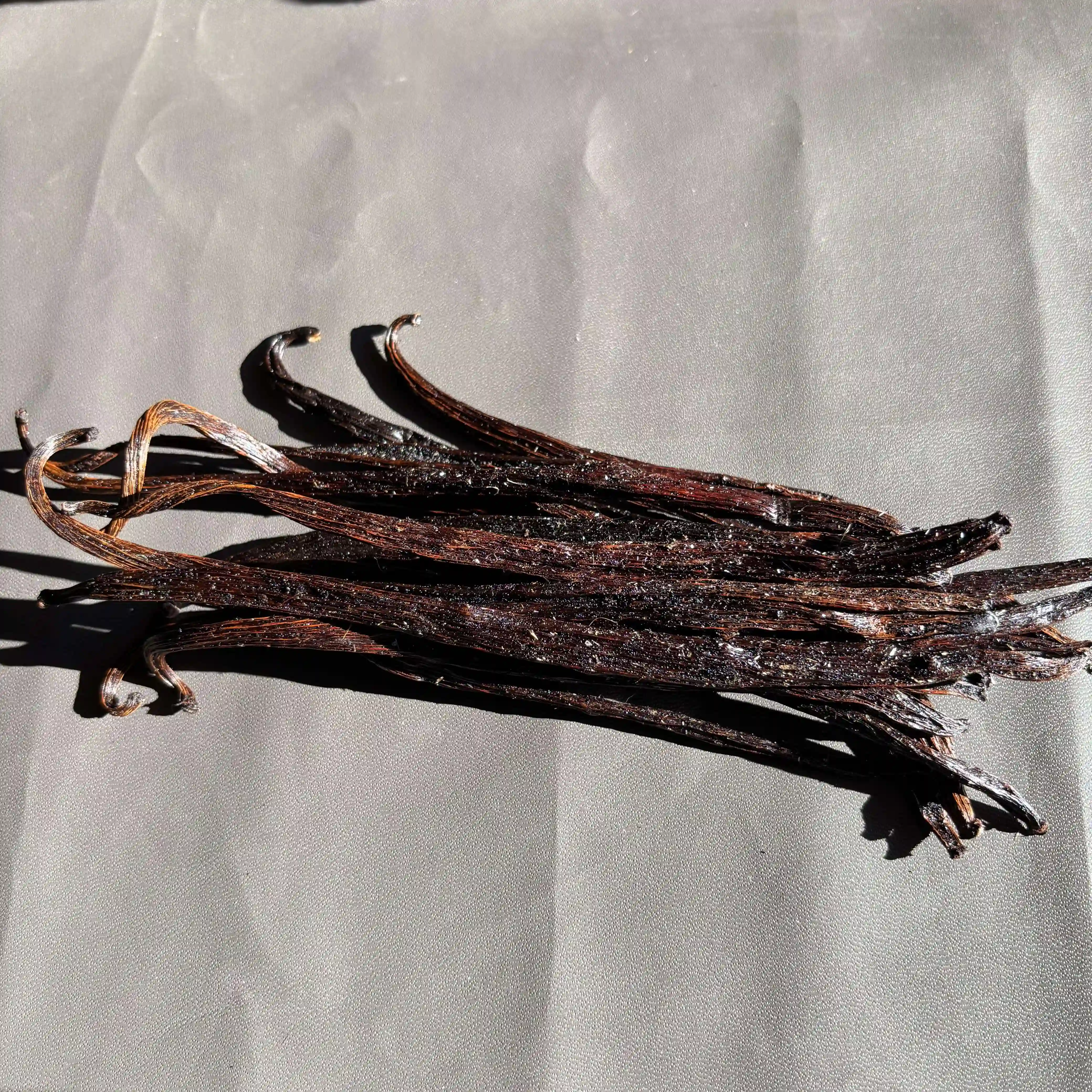 Frosted crystallized Planifolia vanilla beans from Indonesia