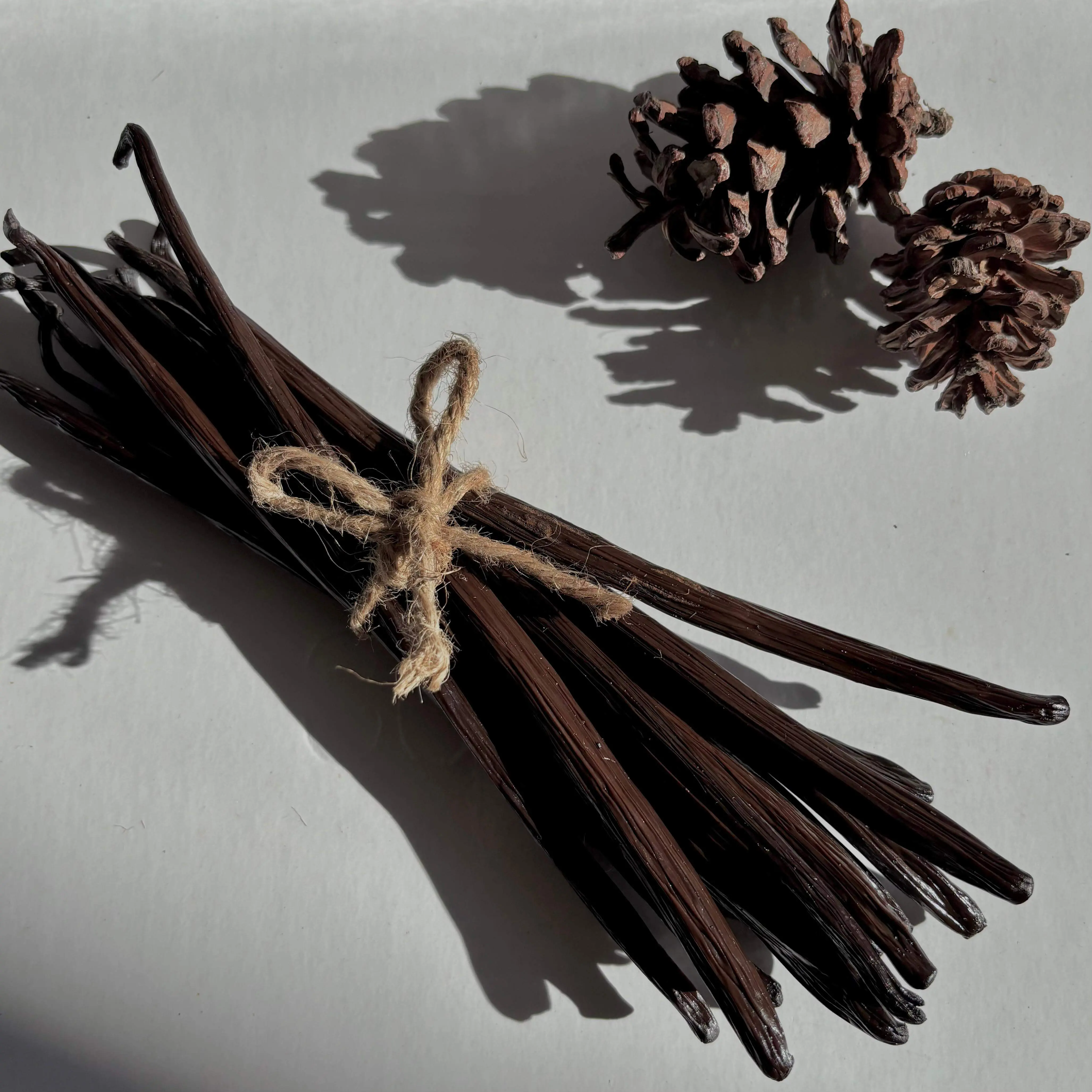 Grade A 18-19cm Planifolia vanilla beans from Indonesia