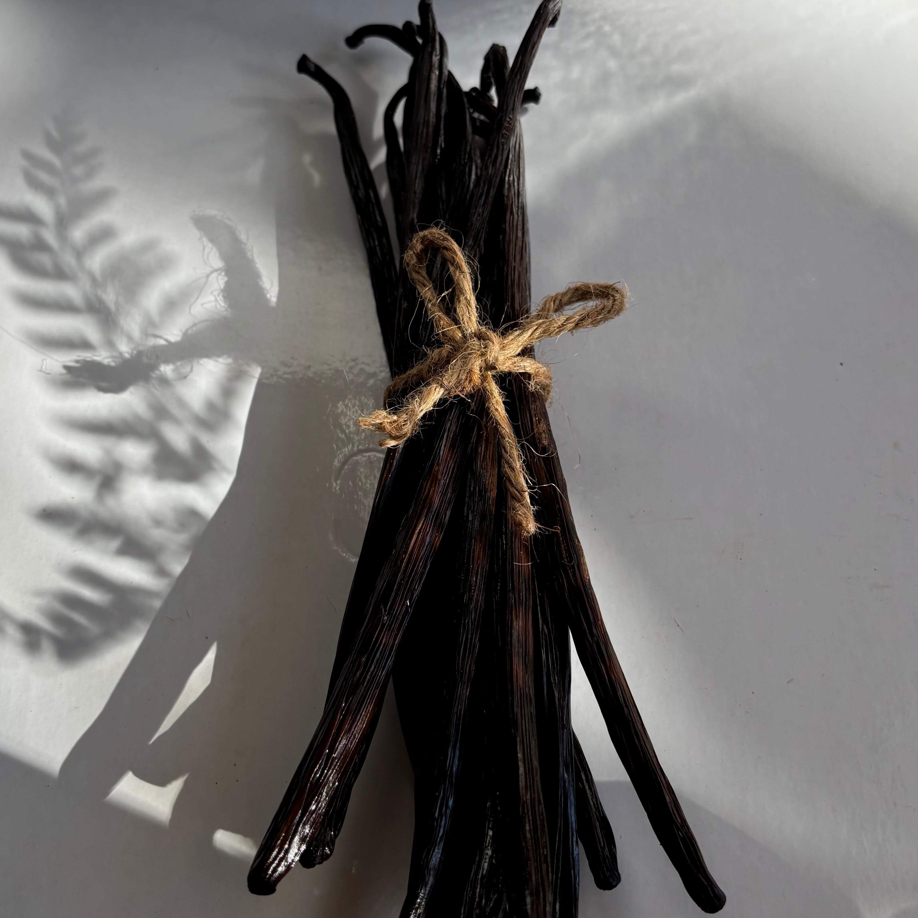 Premium Grade Vanilla Beans