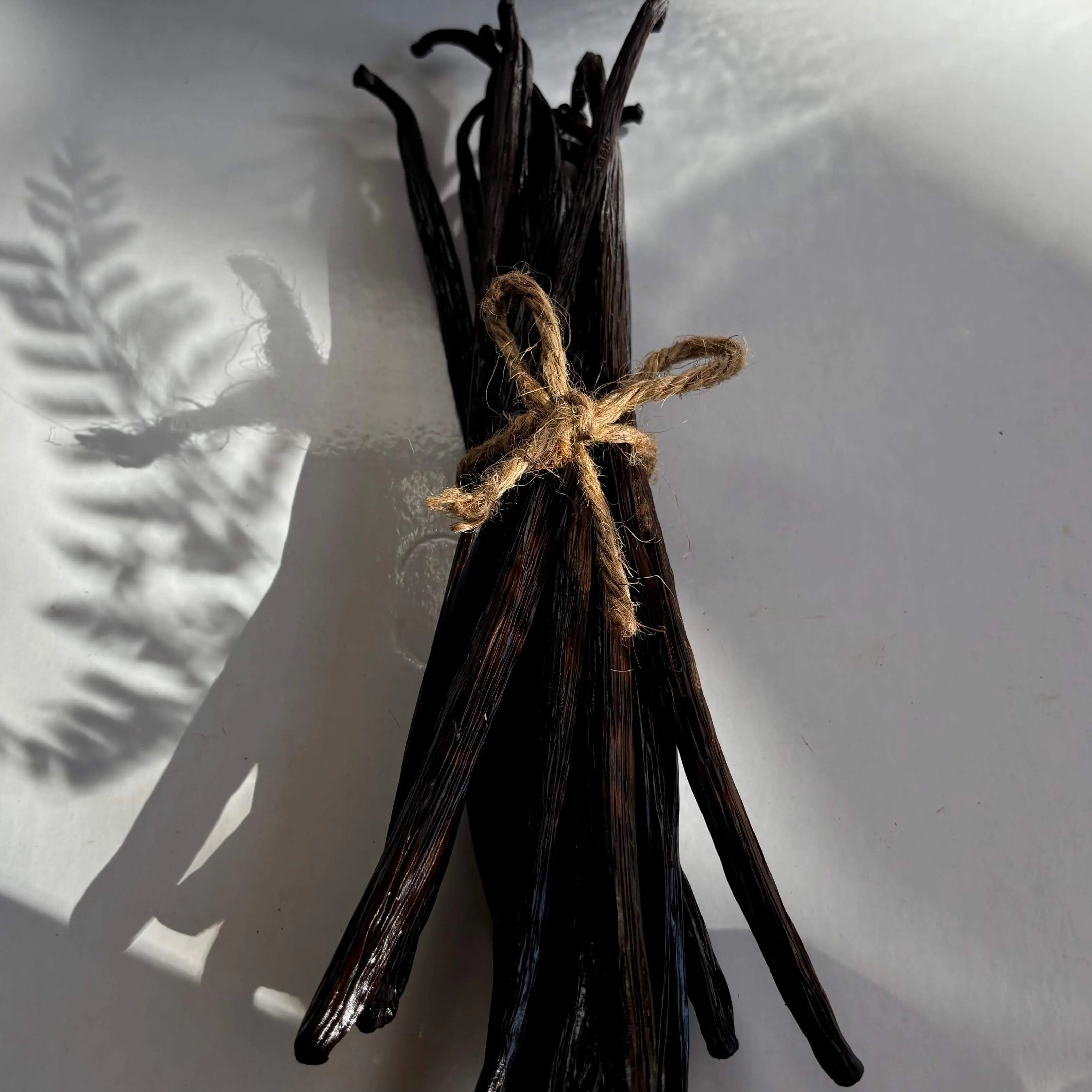 Premium Grade 20cm+ Planifolia vanilla beans from Indonesia